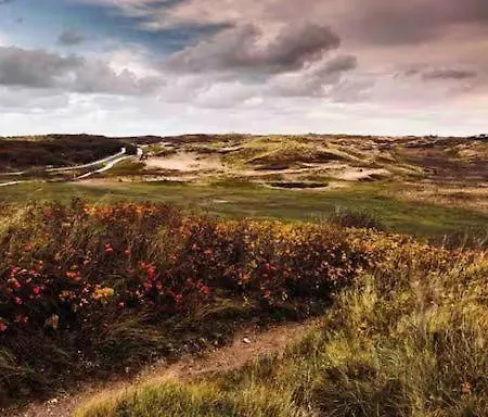 Logies At The Sea Apartmán